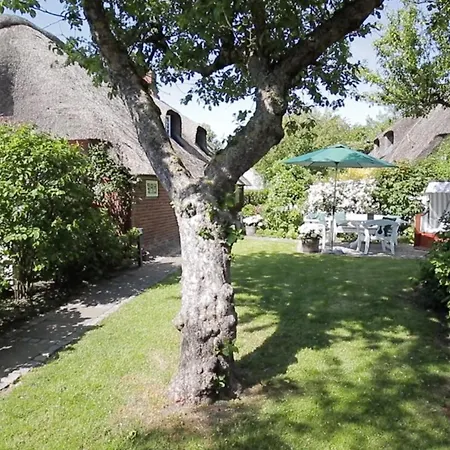 Sütjers Hüs - Großes Nest Oldsum