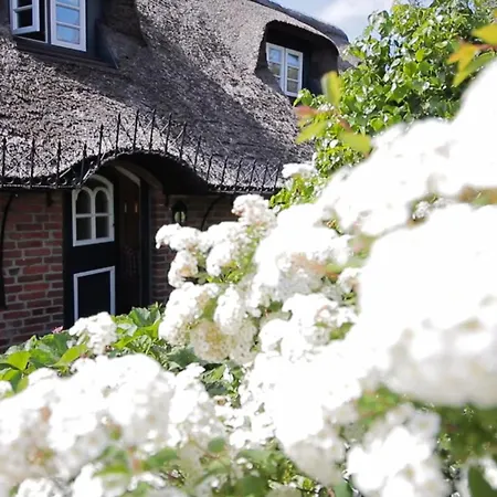 Apartment Sütjers Hüs - Großes Nest *